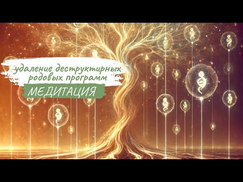 Медитация удаление деструктивных родовых программ