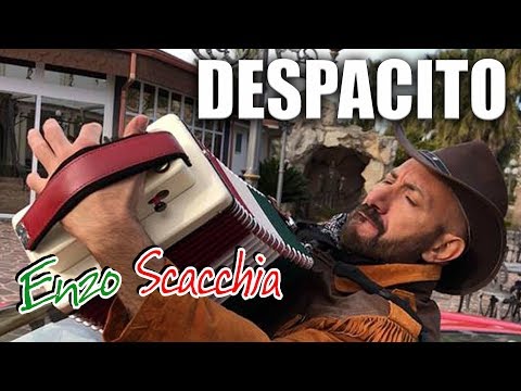 DESPACITO (Enzo Scacchia CAMPIONE DEL MONDO DI ORGANETTO) Luis Fonsi - Despacito ft. Daddy Yankee