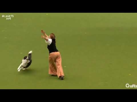 Johanna Tischler with Ronja - "Erntedankfest"="Harvest festival"