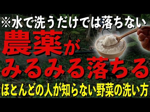 このようにして、ブドウ栽培で農薬を節約することができます