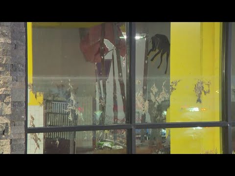 Some dogs killed when doggy daycare floods in DC