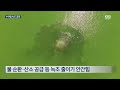 Clip 1