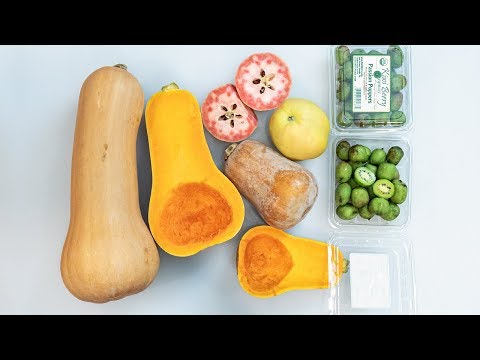 download lagu mp3 mp4 Honeynut Squash, download lagu Honeynut Squash gratis, unduh video klip Honeynut Squash