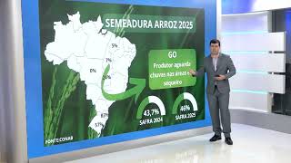 Rain on the way for the rice harvest; see how the weather is affecting the crops.