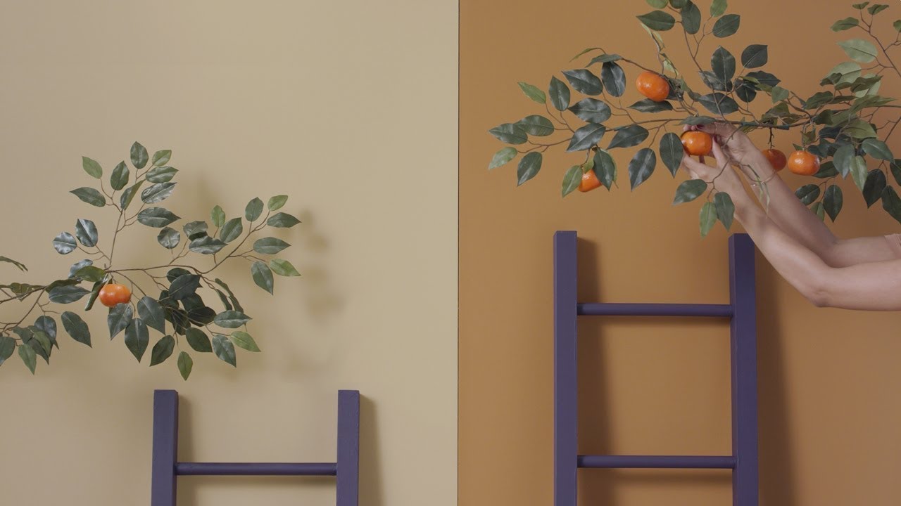 Lesson 3: Should I Save or Invest?