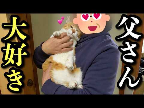 【母出張】急いで帰ったら父と仲良しになってました