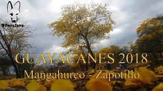 preview picture of video 'GUAYACANES 2018. PerroZorroTeam'