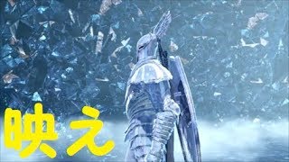 【ダクソ】パート１３「インスタ映え」【ダークソウルリマスター】