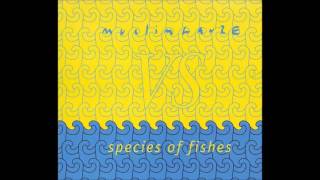 Muslimgauze vs Species of Fishes - Track IV