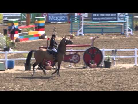 Showjumping - Chepstow CSI 2*  Big Tour