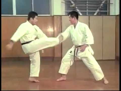 Goju Ryu Suparinpei Bunkai - Morio Higaonna