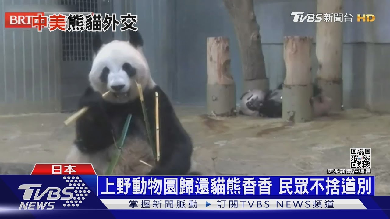 貓熊外交是否退燒 美日英接連宣布歸還
