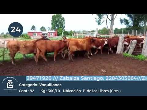 Lote VQ INV- Paso de los Libres - Corrientes