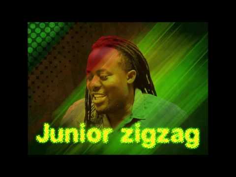 Junior ZigZag - She Wanna Follow Me (official reggae audio )