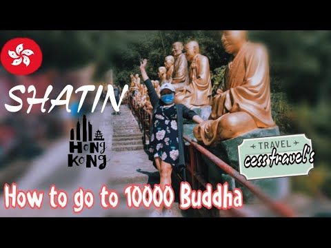 How to go to Ten Thousand Buddha||Shatin New  Territories HONGKONG || Travel Vlog|| Cess Diary