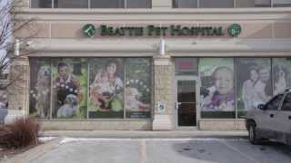 preview picture of video 'Beattie Pet Hospital of Hamilton - Short | Ancaster, ON'