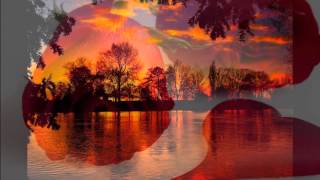 Speak Low  -   Marisa Monte