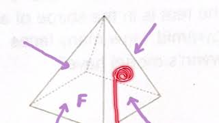 13.2 Faces, Edges & Vertices
