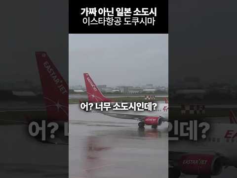 이스타 항공 인천-도쿠시마 여행: 일본의 숨겨진 소도시 탐방기