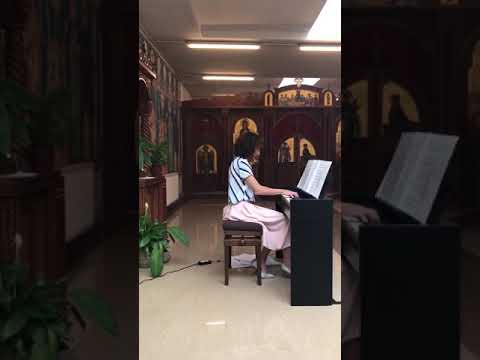 Selena Trifunovic - Prizrenska noć