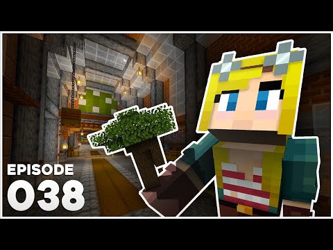 Hermitcraft 9 038 | THE MAGIC DARK OAK TREE FARM 💥