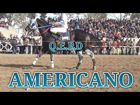 , title : 'Fallece el Caballo Americano - Sentimiento Nuevo - Americano Viejo Nomas'