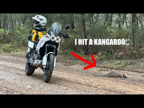 DUCATI DESERTX SOLO ADVENTURE - IT ALL GOES WRONG!