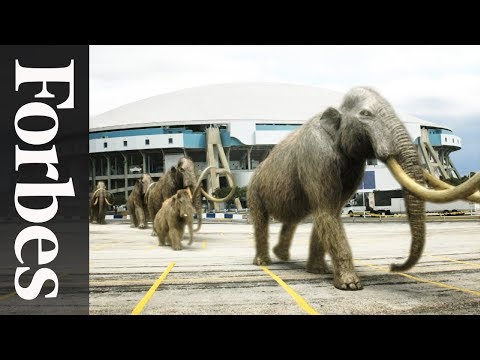Billion-Dollar Baby: Resurrecting The Mammoth | Forbes