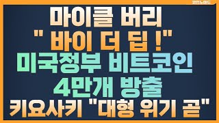 미 법무부 곧 비트 4만개 판다 / 마이클 버리 , 쌀때 사라! Buy The F Dip/ 키요사키, 노보그라츠 / 비트코인 이더리움 XRP