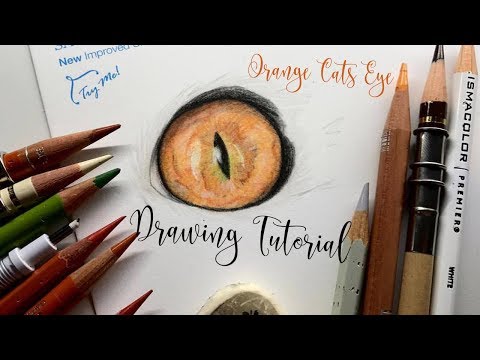 How To Draw Orange Cats Eyes // COLOURED PENCIL TUTORIAL
