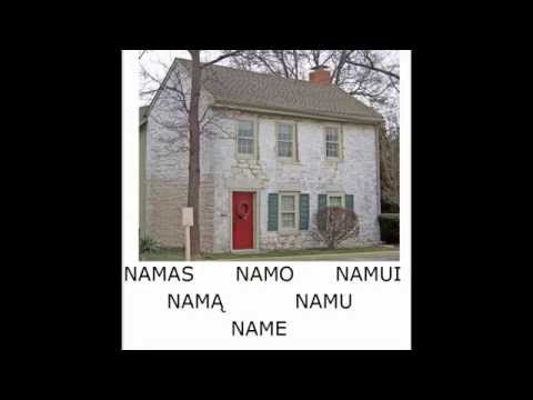 Lithuanian Lesson 9 - Cases of Nouns