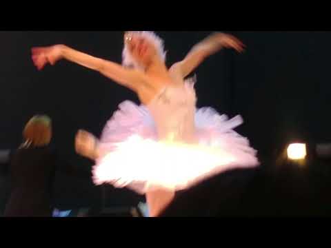 The "Swan Lake"  final scene with Keren Notiк and Alexander Shevtsov