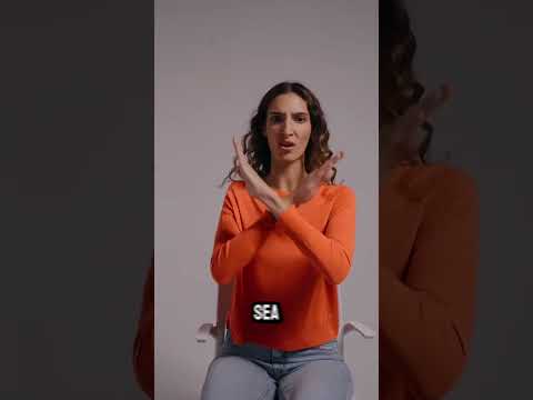 Sara Vera Nicolas-8