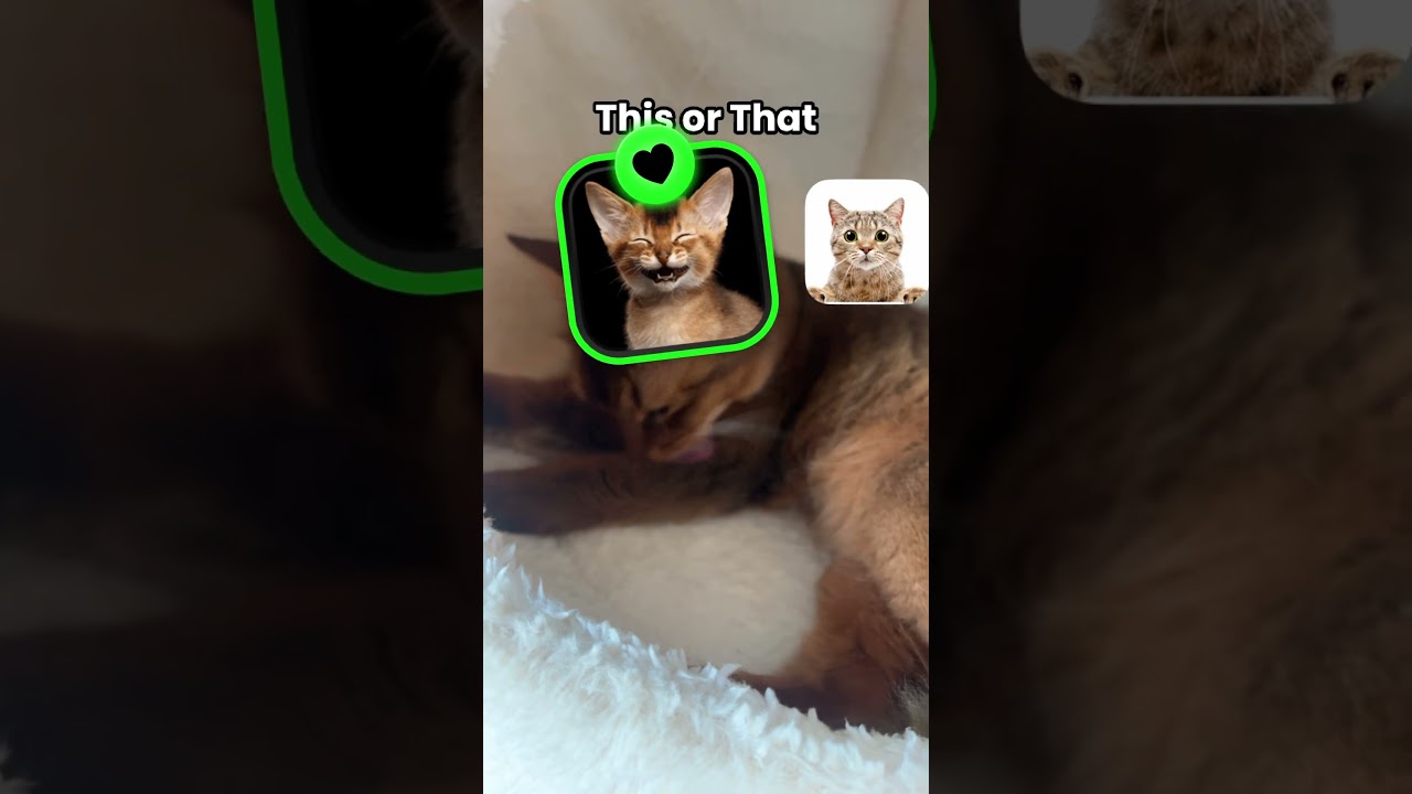 Är det Agusta? #AIK #gnaget #agusta