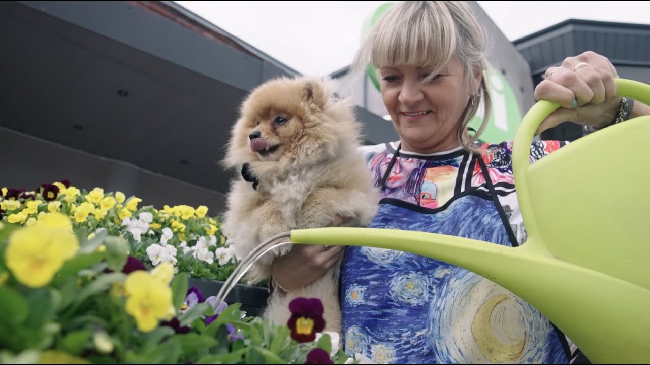 28. maijā svinēsim Siguldas svētkus “KOPĪBA”