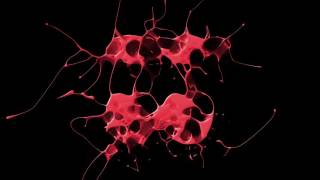 Omar Cito Perez - House Music (Bass Fly Remix)