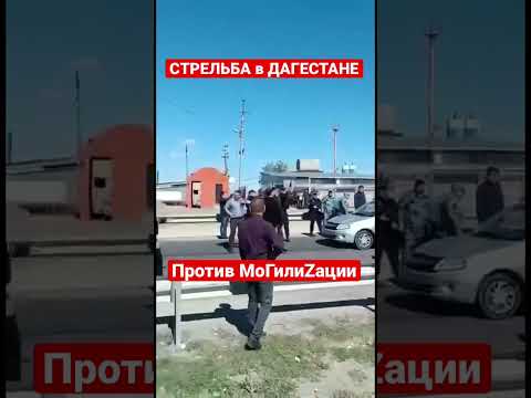 Стрельба в Дагестане!!! Дагестан не хочет умирать за дворец бункерного обнулёныша!!!