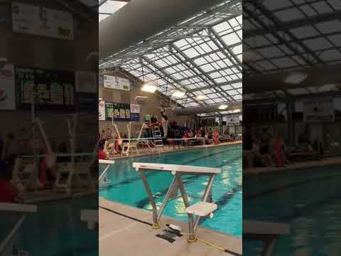 1 meter back dive pike position