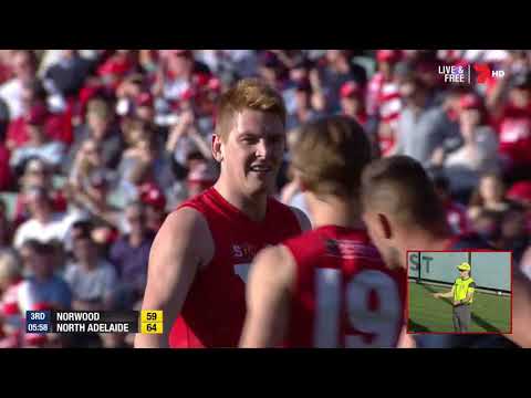 2018 SANFL Grand Final North Adelaide Roosters Vs Norwood Redlegs Highlights