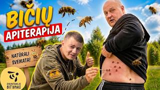 Bičių apiterapija