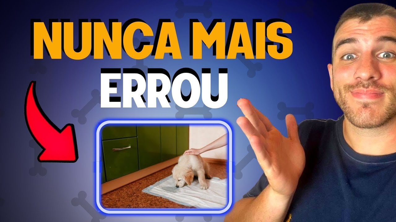 Passo a Passo Para Ensinar o Cachorro a Fazer as Necessidades em Um Só Lugar