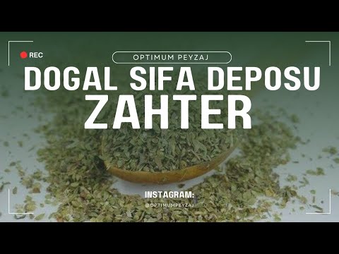 DOĞAL BİR ŞİFA DEPOSU: ZAHTER! ZAHTER NASIL KULLANILIR? FAYDALARI NELERDİR?
