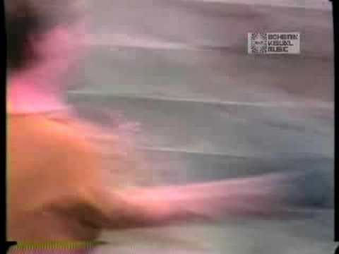 Dharma Bums "The Light In You" ‌‌ - Bohemia Afterdark