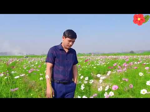 24 Giờ Phép " Lương Gia Tiến