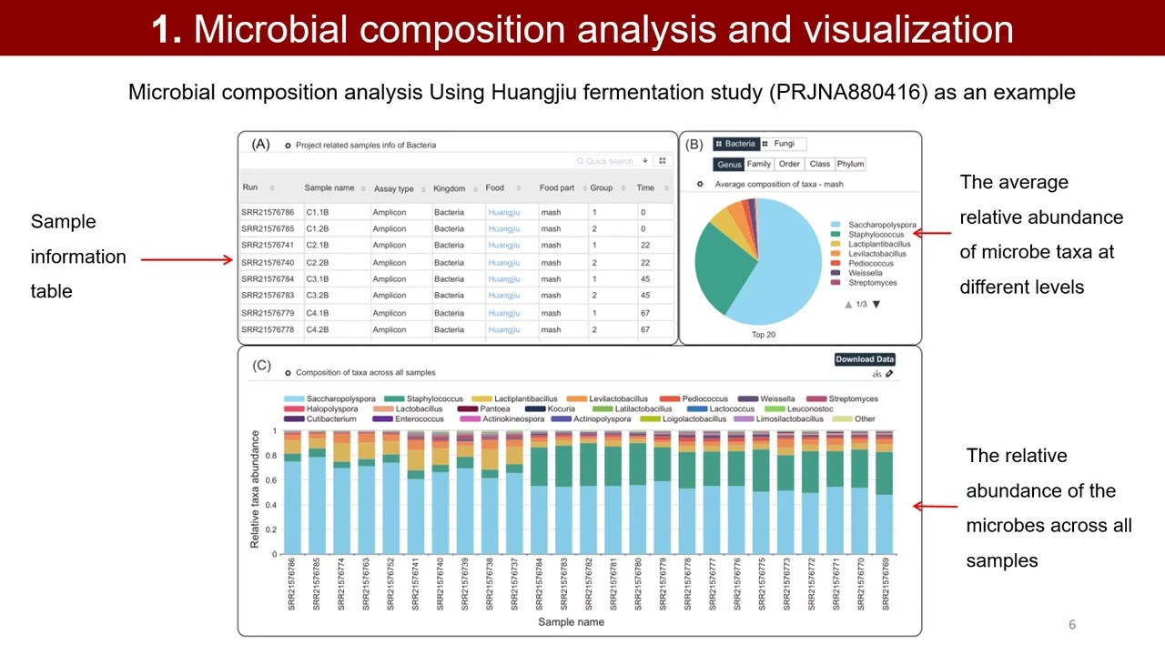iMetaOmics | FoodMicroDB: A microbiome database for composition and time-series research in food