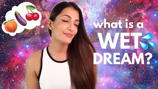 What Is A Wet Dream? | Leeza Mangaldas