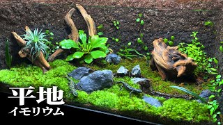 平地イモリウム - 白カビ対策、そして完成へ