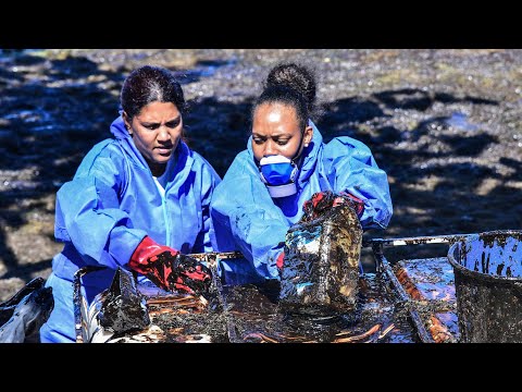 Haareschneiden gegen die Umweltkatastrophe in Mauritius | AFP
