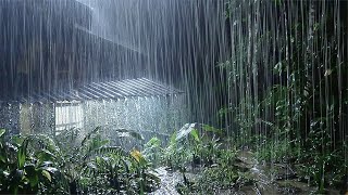 12 Hours Of Continuous Rain - Rain All Night In The Forest, Rain House For Long-Term Insomnia
