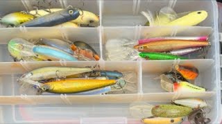 LIVE Smallmouth Fishing In A Columbia XL
